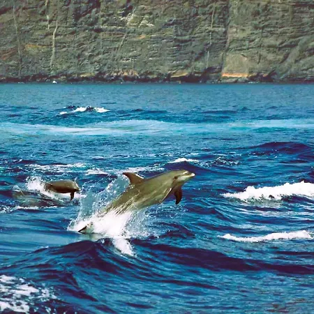 דירה Ocean Wave Gigantes - 2 Pools & Stunning Ocean Views