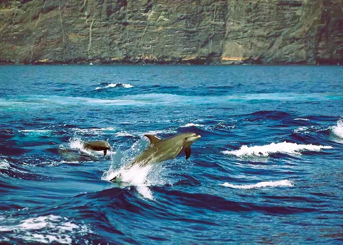 公寓 Ocean Wave Gigantes - 2 Pools & Stunning Ocean Views